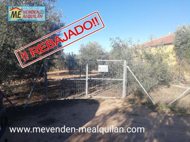 Parcela en venta en Marchena, Ctra. Puebla de Cazalla photo 0