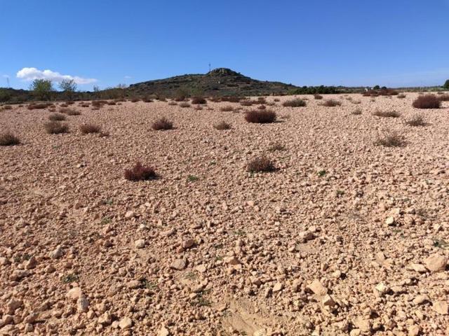 Parcela en venta en Almansa, Los cabezos photo 0