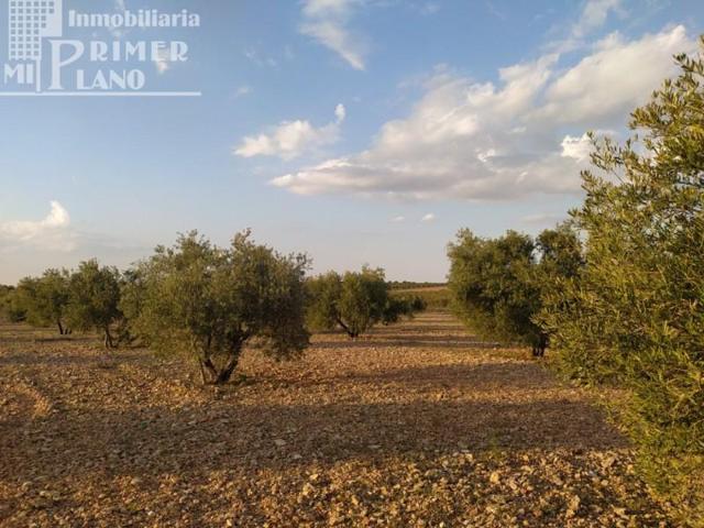 Parcela en venta en Tomelloso, Tomelloso photo 0