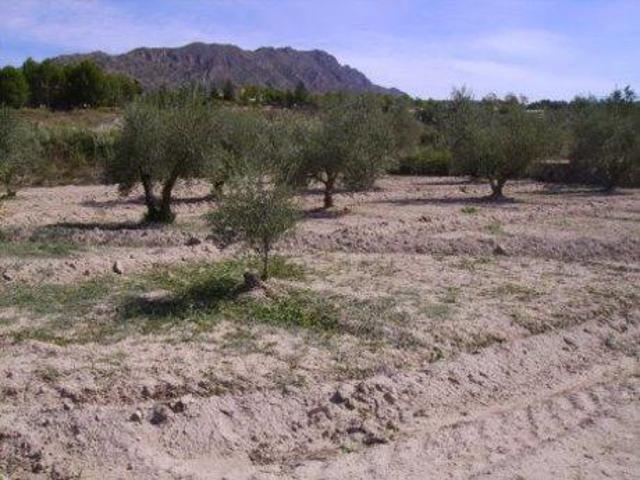Parcela en venta en Calasparra, Calasparra photo 0