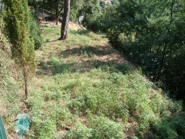 Parcela en venta en Sant Cebrià de Vallalta, Can Domenech photo 0