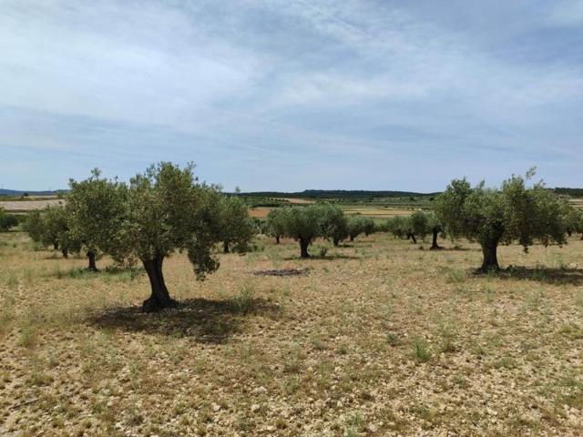 Parcela en venta en Almansa, Cantoblanco photo 0