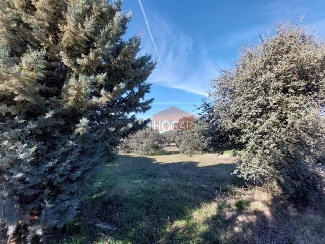 Parcela en venta en Maello, Prado encinas photo 0