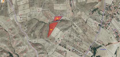 Terreno en venta en El Molar, El Molar photo 0