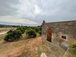 Parcela en venta en Alcanar, Les comes photo 0