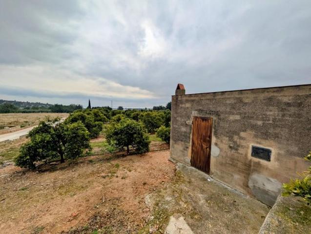 Parcela en venta en Alcanar, Les comes photo 0