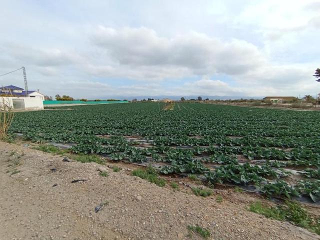 Parcela en venta en Puerto Lumbreras, Puerto Lumbreras photo 0