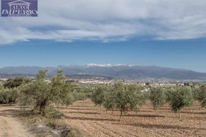 Parcela en venta en Albolote, Albolote photo 0