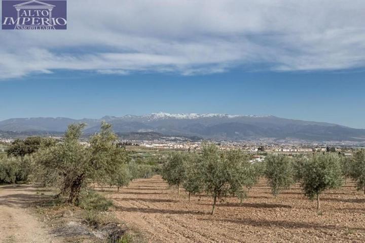 Parcela en venta en Albolote, Albolote photo 0