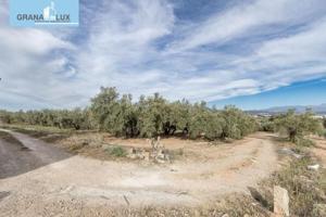 Parcela en venta en Albolote, Albolote photo 0