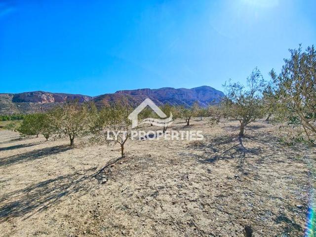 Parcela en venta en Denia photo 0