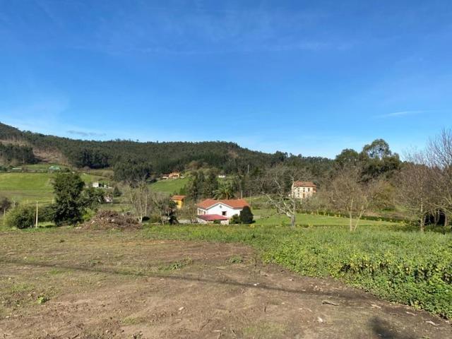 Parcela en venta en Castrillón, Pipe photo 0