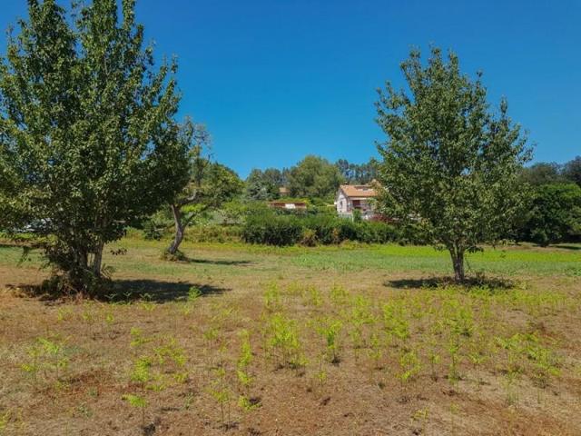 Parcela en venta en Carral, San Vicente de Vigo photo 0