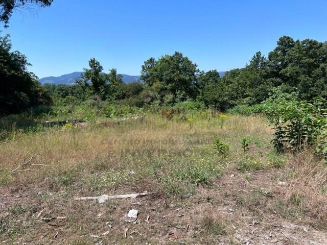 Parcela en venta en O Porriño photo 0