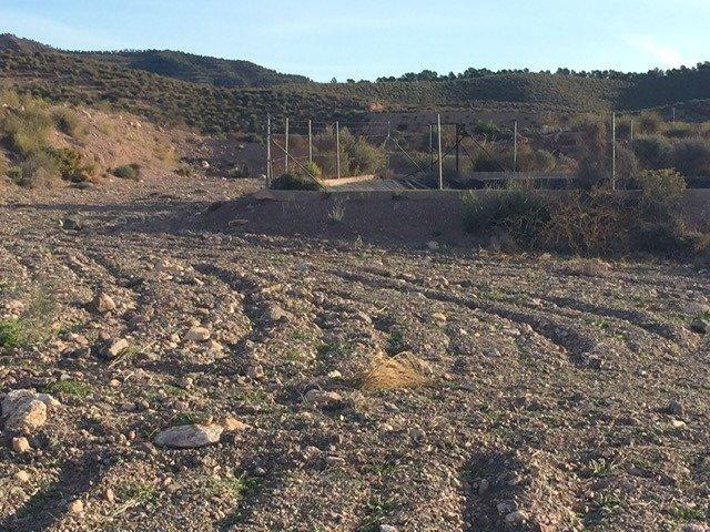 Parcela en venta en Lorca, LA HOYA photo 0