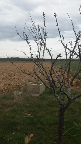 Parcela en venta en Florida de Liébana, Florida de liébana photo 0