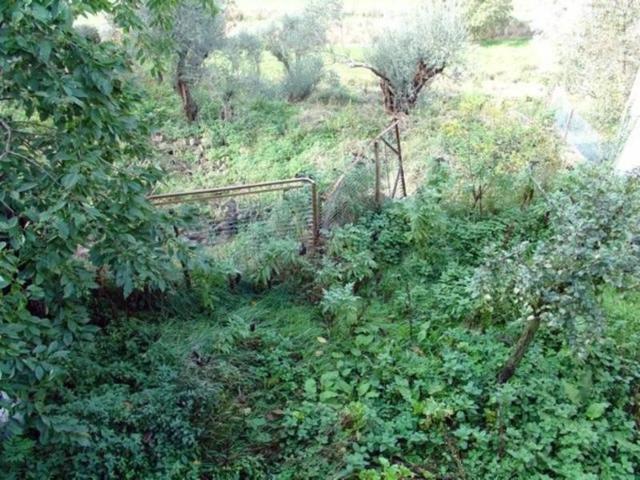 Parcela en venta en Boltaña, Boltana photo 0