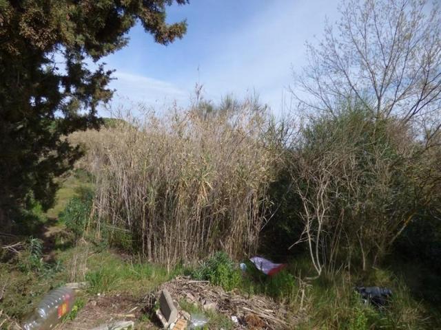 Parcela en venta en Palafolls, Sant genis de palafolls photo 0