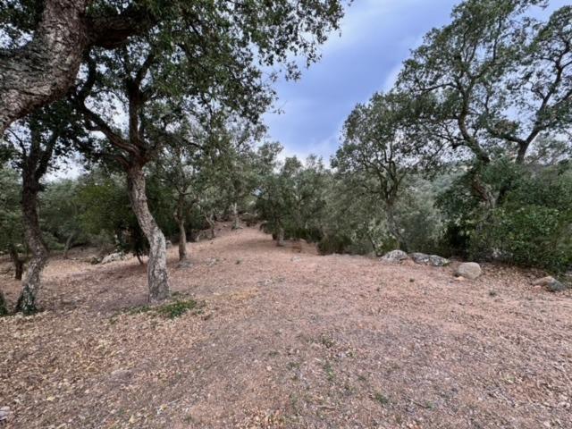 Parcela en venta en Llagostera, Cassà - Llagostera photo 0