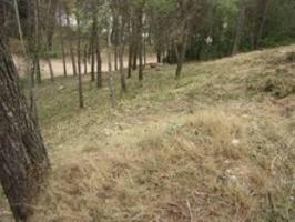 Parcela en venta en Piera, EL BEDORC photo 0