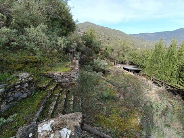 Parcela en venta en Benaocaz, Benaocaz photo 0