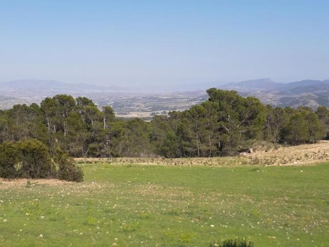 Parcela en venta en Lorca, La Parroquia photo 0