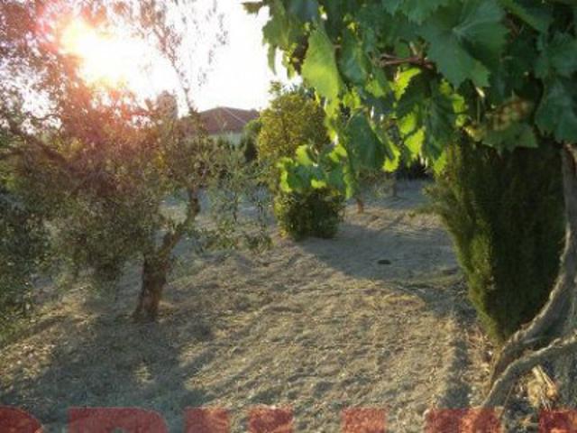 Parcela en venta en Almendralejo, San Marcos - Cuartos de Tiza photo 0