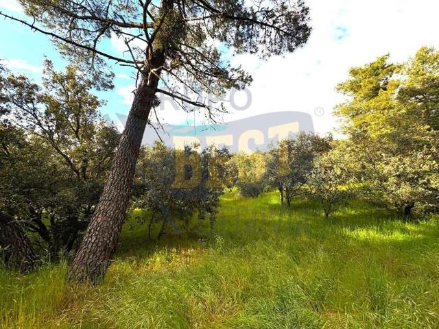 Parcela en venta en Marugán, Urb. parraces ii photo 0