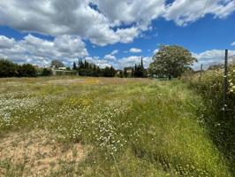 Parcela en venta en Castilblanco de los Arroyos, UrbanizaciÓn las minas photo 0