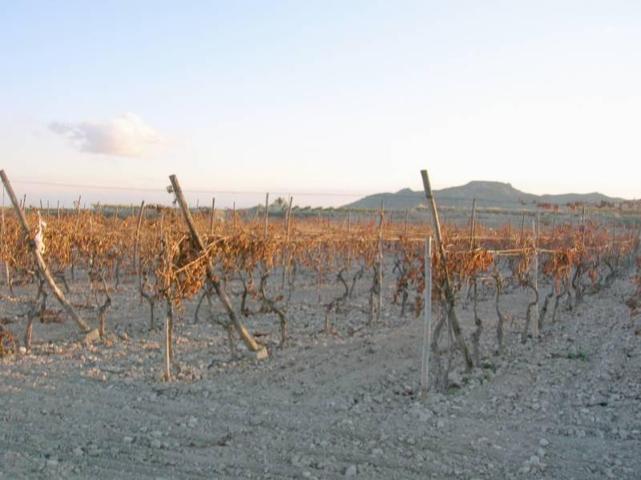 Parcela en venta en Novelda, BETIES photo 0