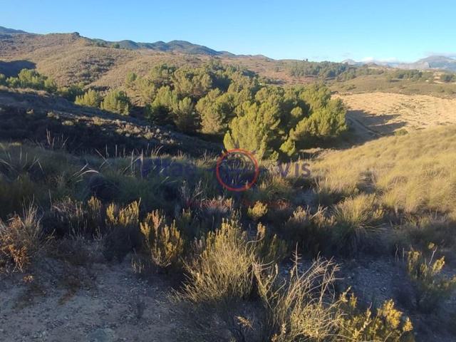 Parcela en venta en Lorca, Zarcilla de Ramos photo 0