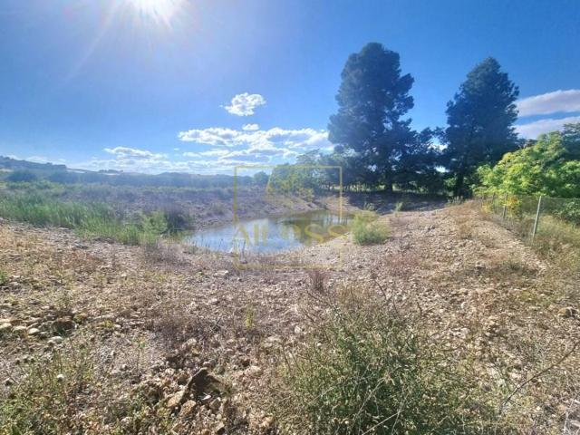 Parcela en venta en Hellín photo 0