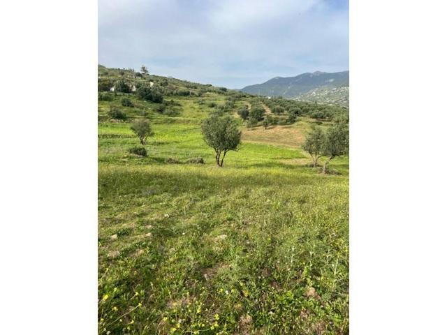 Parcela en venta en Alcaucín photo 0