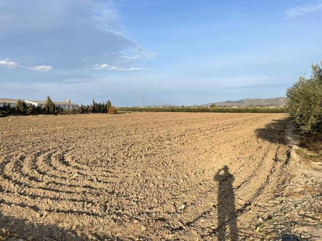 Parcela en venta en Lorca, Purias photo 0