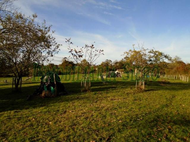 Parcela en venta en Siero, Pumares photo 0