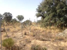 Parcela en venta en Ituero y Lama, Ituero Y Lama photo 0