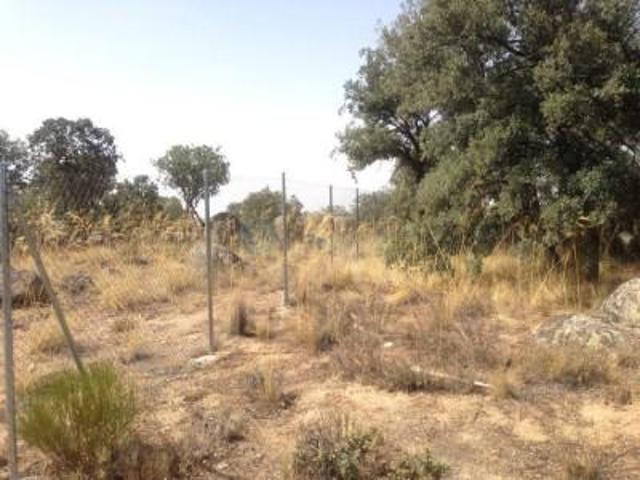 Parcela en venta en Ituero y Lama, Ituero Y Lama photo 0
