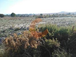 Parcela en venta en Sant Jaume dels Domenys, Sant Jaume Dels Domenys photo 0