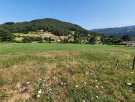 Parcela en venta en Salas, Salas photo 0