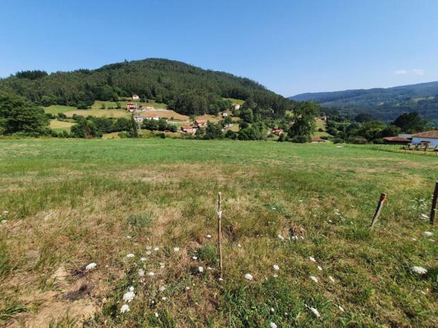 Parcela en venta en Salas, Salas photo 0