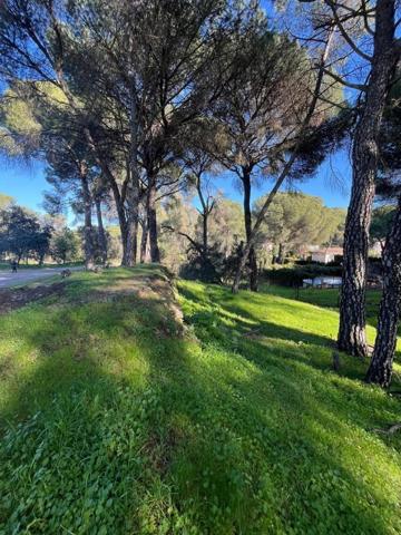 Parcela en venta en Córdoba, Cerro Muriano photo 0