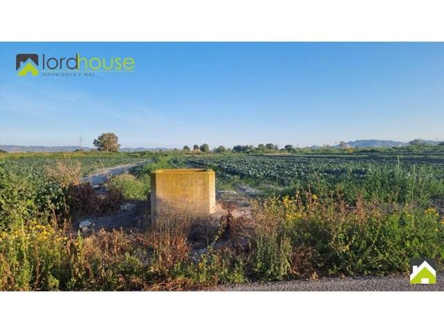 Parcela en venta en Lorca, Campillo photo 0