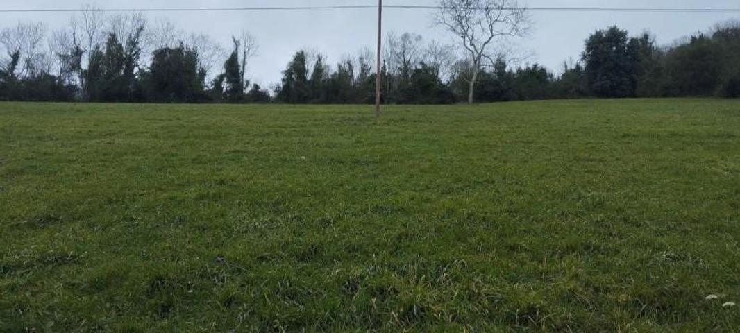 Parcela en venta en Candamo, Candamo photo 0