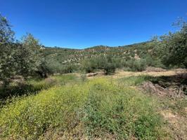 Parcela en venta en Ríogordo, AXARQUIA photo 0