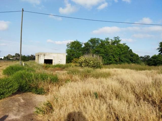 Parcela en venta en Puerto Lumbreras, Esparragal photo 0