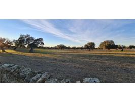 Parcela en venta en Añora photo 0