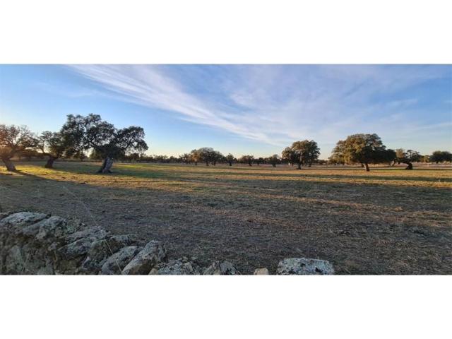 Parcela en venta en Añora photo 0