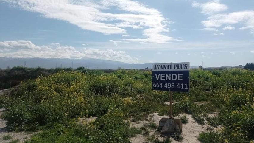 Parcela en venta en Belicena, Vega de granada zona noroeste photo 0
