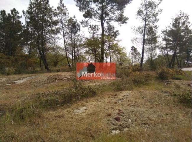 Parcela en venta en Lugo, Crt a Fonsagrada photo 0