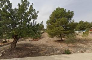 Parcela en venta en Casinos, A 3KM photo 0